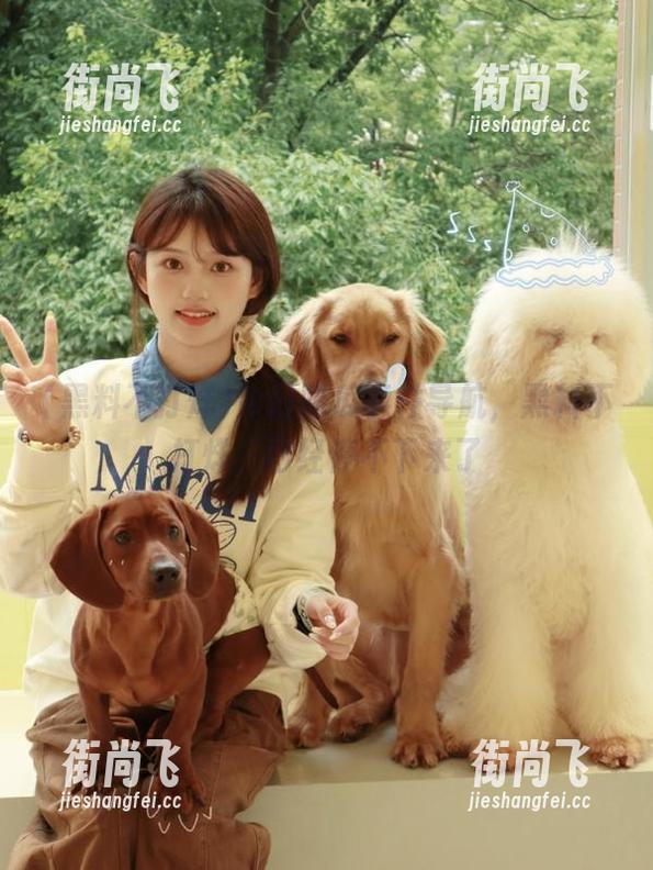 黑料不打烊 今日吃瓜事件导航,黑料不打烊,已经停不下来了